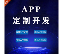 廈門應(yīng)用軟件開發(fā)